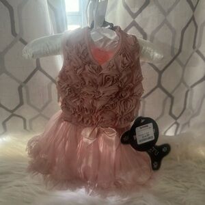 Pink little dress for your precious pooch